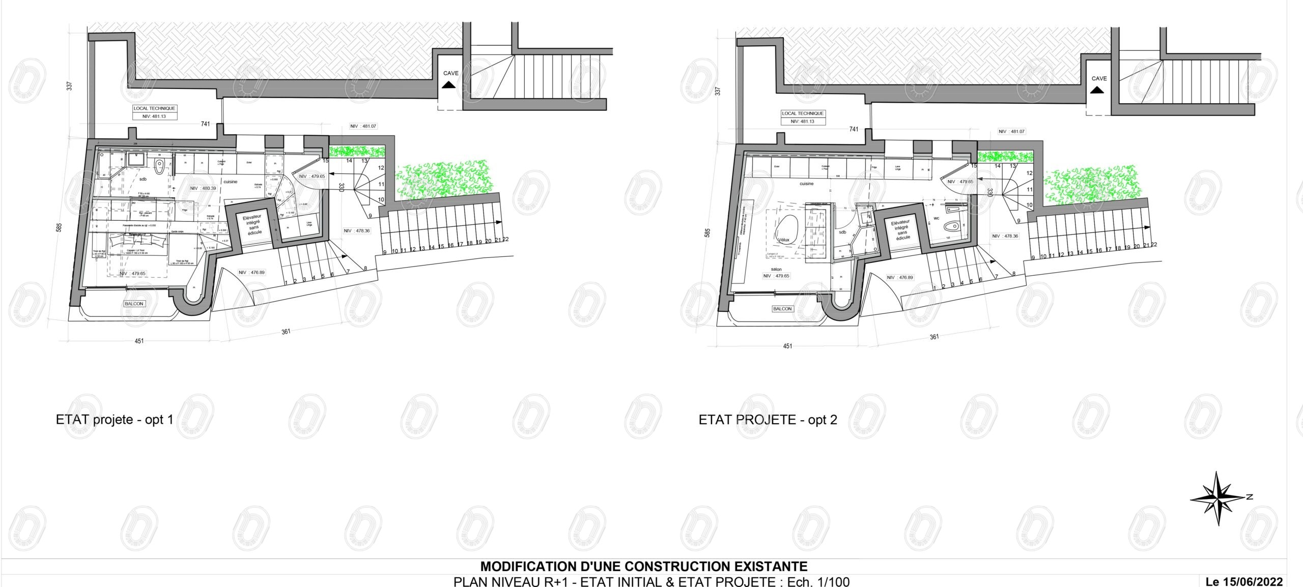 plans-options-amenagement-projet-neroli-la-turbie.jpg Étude de deux options d’aménagement intérieur pour le projet Néroli à La Turbie