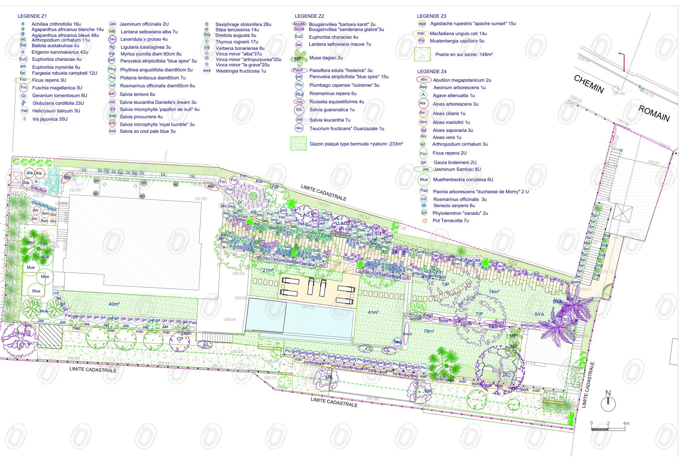 plan-plantation-jardin-paysager-cap-dail Plan de plantation du projet d’aménagement paysager d’une villa à Cap-d’Ail